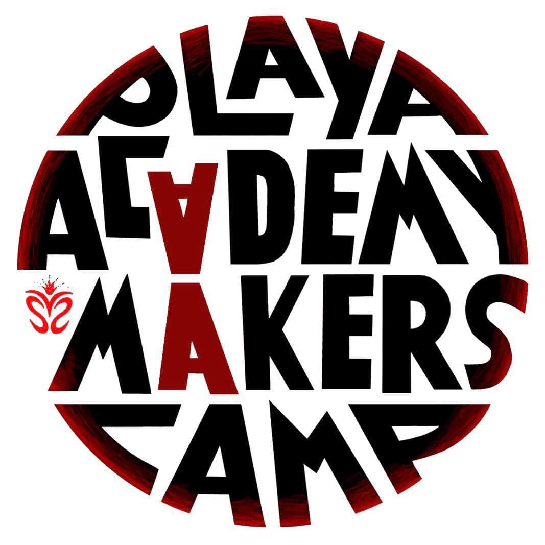 Sacramento Valley Spark Playa Academy