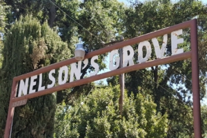 Playa Academy: Scholarship Tickets